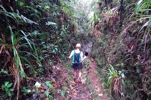 Caminhadas Montanhas e Florestas Mágicas