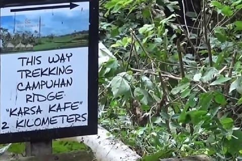 Ubud City promenad och välsignelse privat guidad tur