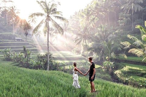 Le Meilleur d'Ubud avec Guideフランス語圏：カスケード、リジエール、寺院、カフェツアー