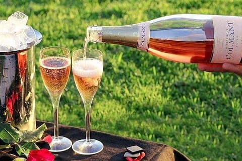 Cape Town Private, Wineland Tasting Tour
