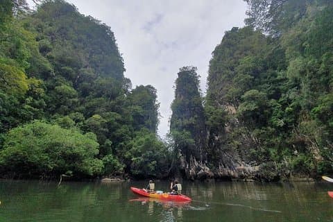 Kajaktour durch die tiefen Mangroven und Canyons in Krabi