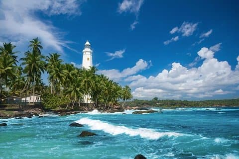 4-tägige Tour an der Küste Sri Lankas
