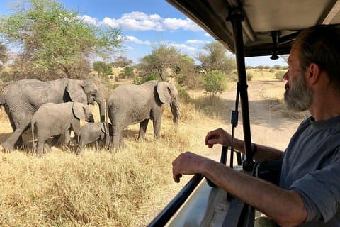 Kilimanjaro: Lemosho Route e Camping Safari