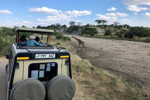 Kilimanjaro: Ruta Marangu y Camping Safari