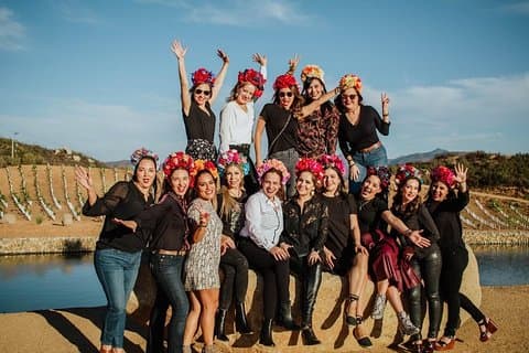 Wine tasting Valle de Guadalupe & Casa Frida