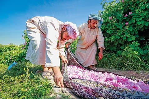 Jebel al Akhdar - Jardim de Rosas / Aldeia Balad Sayt / Diana's Point