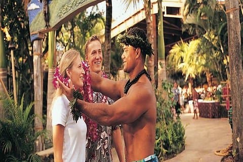 Pearl Harbor + Dole Plantation + Polynesian Center fra Waikiki