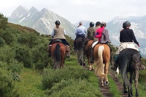 Horse Riding Madrid Natural Park (long Trip)