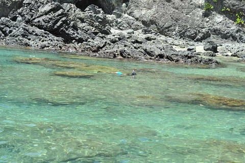 Private West Coast Beaches Tour with Snorkeling