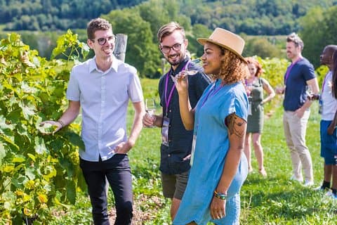 Wine and Lunch Escape