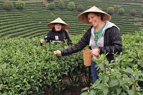 Visite d'une demi-journée de la ville de Guilin: parc Elephant Hill et plantation de thé