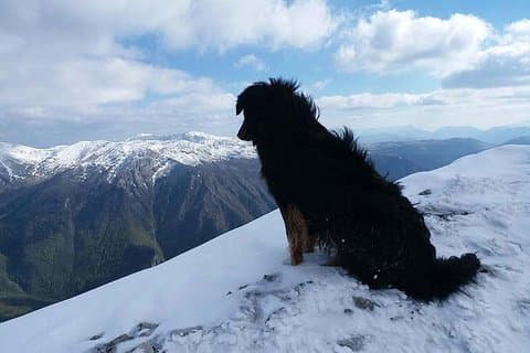 Schneeschuhwandern in den olympischen Bergen - Private Tour