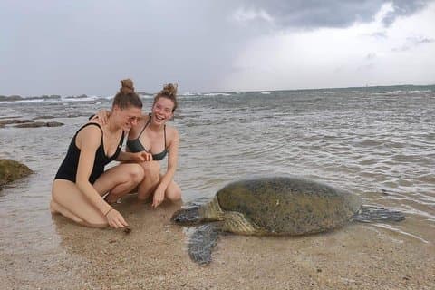 Circuit de 14 jours au Sri Lanka (Hôtels avec petit-déjeuner et voiture de luxe)