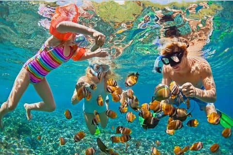 Phuket Coral e Racha Island in motoscafo (intera giornata)