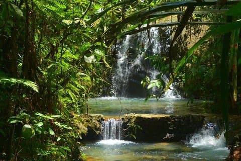 Port of Suva - Private Tour