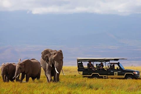 6-tägige Rift Valley Lakes und Masai Mara Private Safari