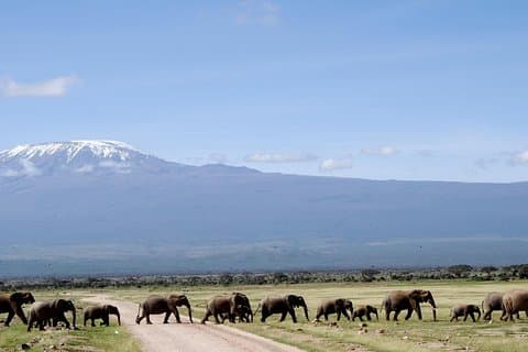 Safari di 6 giorni ad Amboseli, Lago Naivasha e Masai Mara su jeep 4x4