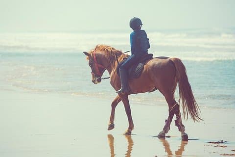 Ridning: PLAYA BLANCA Advanced Riders - Tanger - 1 time