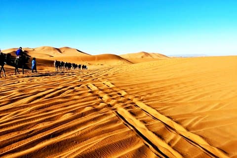 Morocco Sahara Desert Tour With a Local