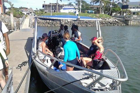 Expérience d'initiation à la plongée sous-marine - Whitetip Marine Adventures