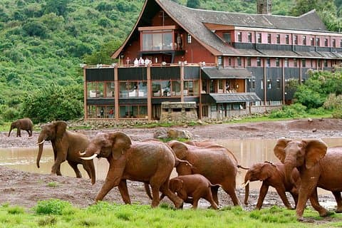 Private 7 Tage Kenias beste Wildtiersafari