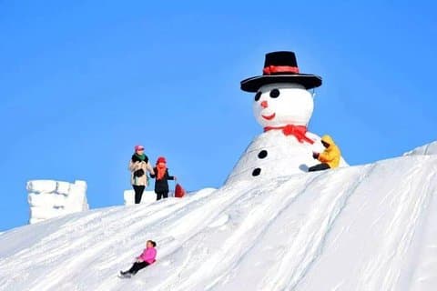 英語を話すドライバーと南山スキーリゾートのセルフガイド旅行