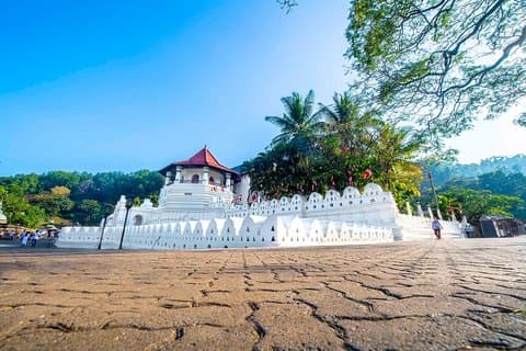 Kandy dagstur från Colombo / Negombo