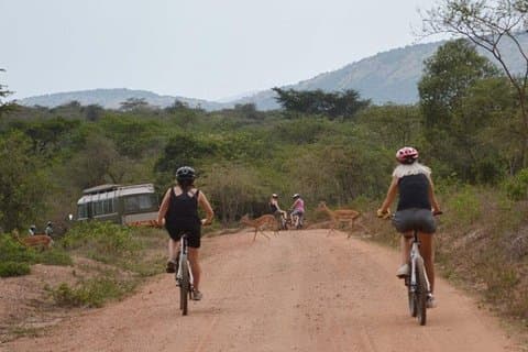 10 Tage Kenia Radsport Safari Urlaub