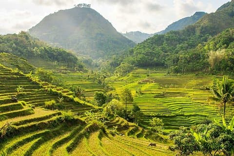 Yogyakarta: Selogriyo Rice Terraces Off The Beaten Track Trip