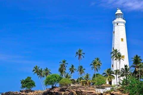 Excursión de un día por la costa al sur de Sri Lanka