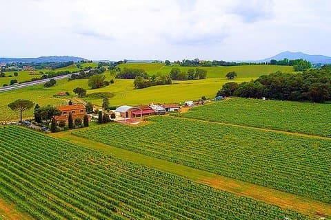 Enjoy a meal with wine tasting in the vineyard of Podere Casanova