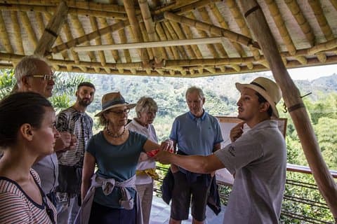 Kaffetur på Hacienda Venecia från Salento