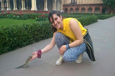 All Inclusive Taj Mahal, Fort & Baby Taj Tour fra Delhi med bil