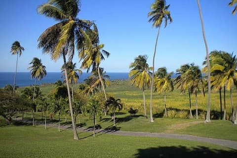 Visite privée à Saint-Kitts