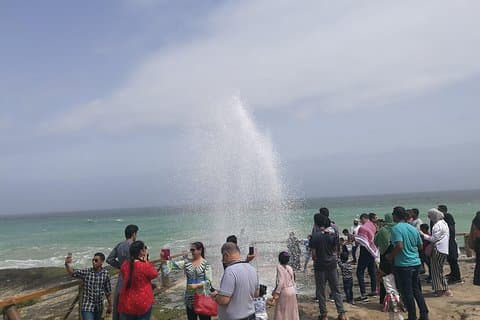 Udforsk West Salalah's fantastiske naturlandskab - en heldagstur