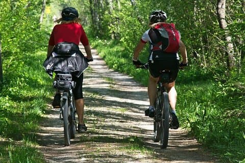 VTT dans la forêt
