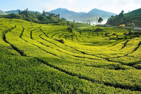 4 Day 3 Night City Tour Jakarta - Bandung