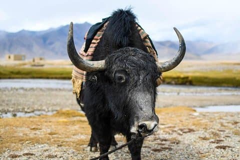 Highlights of Tajikistan