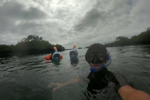 Isla Pinzón - Day Tour - From Santa Cruz - Islas Galápagos