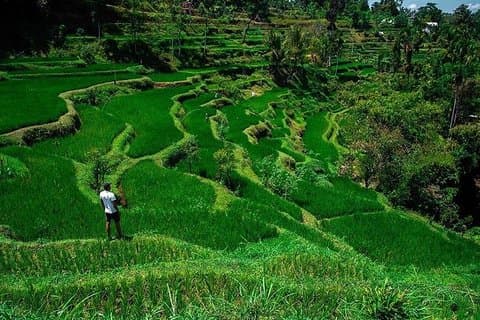 Tete Batu, vue sur la terrasse de riz avec cascade, visite originale de Lombok