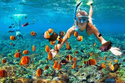 Phi Phi Half Day Tour Speed Boat Tour