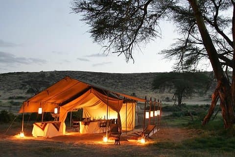 11 Days Guided Africa Wildlife Photography Tours