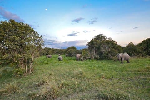 4 dagar Ol Pejeta & Samburu National Reserve Safari