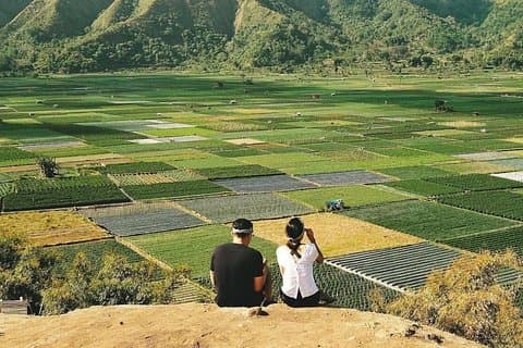 Sembalun Package.. (Special Rice Terrace View)