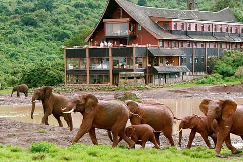 Reserva Nacional Privada de 5 Dias Samburu, Aberdares e Safari de Vida Selvagem do Lago Nakuru
