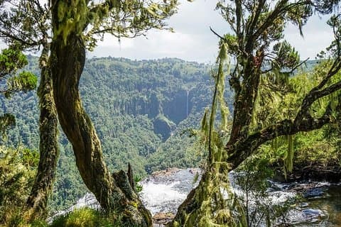 6 dias em Aberdares, Lago Bogoria e safari de vida selvagem em Masai Mara