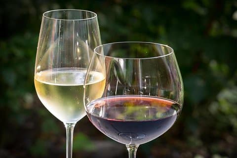 Ston e Peljesac com excursão privada para degustação de vinhos