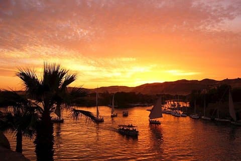 Excursão pela cidade de Aswan de carruagem a cavalo