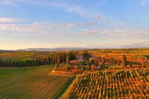 Arezzo: wijnproeverij in de regio Valdichiana