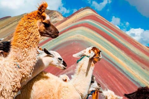 4 dagen : Cusco || MachuPicchu || Regenboogberg || Stadstour ||